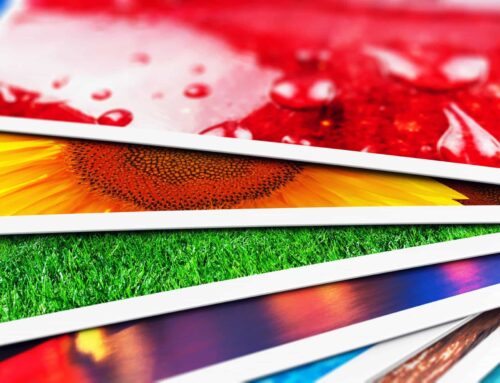 Coated vs Uncoated Paper: Which to Choose for Your Project?